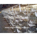 Verzinkter Q235 Bauernhof benutzte Tauben-Vogel-Zuchtkäfig